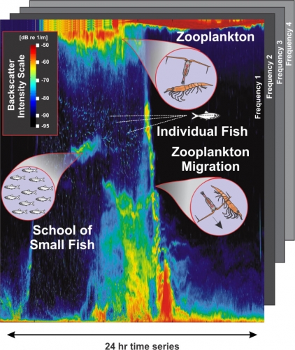 AZFP浮游生物魚類在線剖面監(jiān)測系統(tǒng)