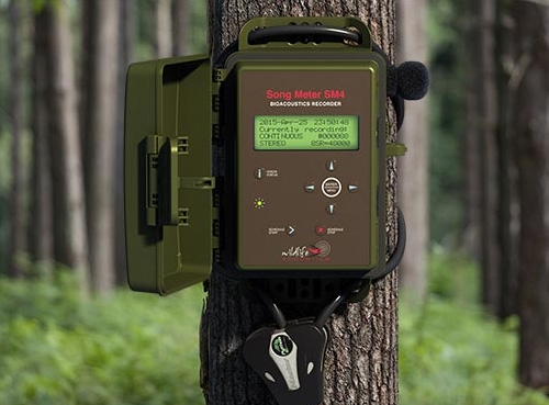 鳥類動物鳴聲自動記錄儀Song Meter SM4